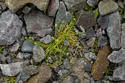 BUITEN BEELD Foto: 318532