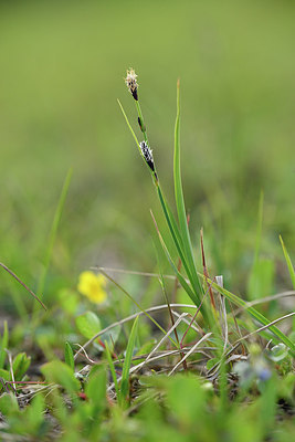 BUITEN BEELD Foto: 318573