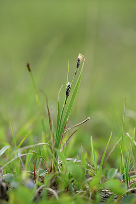 BUITEN BEELD Foto: 318574