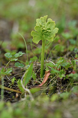 BUITEN BEELD Foto: 318583