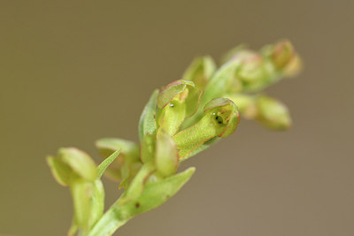 BUITEN BEELD Foto: 318615