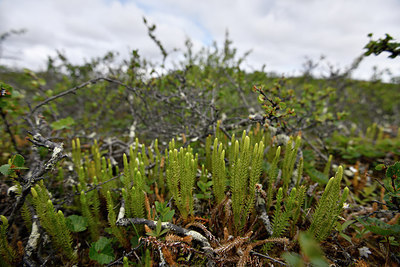 BUITEN BEELD Foto: 318647