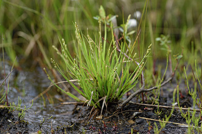 BUITEN BEELD Foto: 318672
