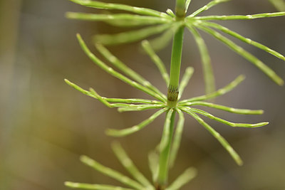 BUITEN BEELD Foto: 318675