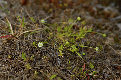 BUITEN BEELD Foto: 318678