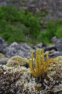 BUITEN BEELD Foto: 318712