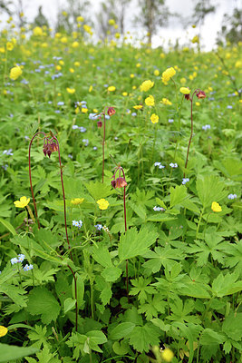 BUITEN BEELD Foto: 318720