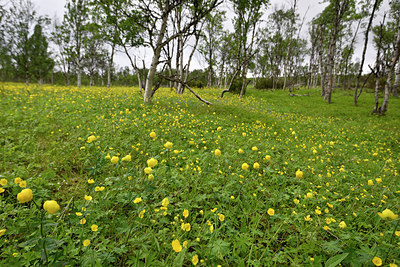 BUITEN BEELD Foto: 318722