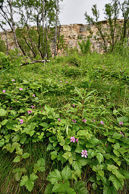BUITEN BEELD Foto: 318745