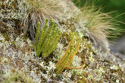 BUITEN BEELD Foto: 318781