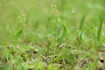 BUITEN BEELD Foto: 318806