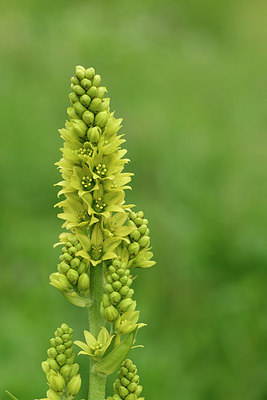 BUITEN BEELD Foto: 318811