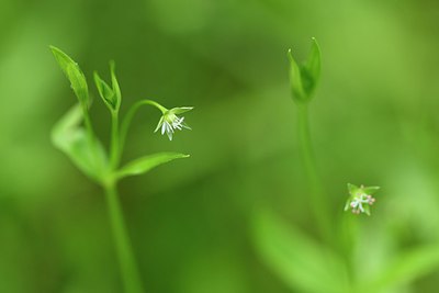 BUITEN BEELD Foto: 318830