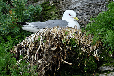 BUITEN BEELD Foto: 318852