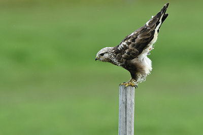 BUITEN BEELD Foto: 318910
