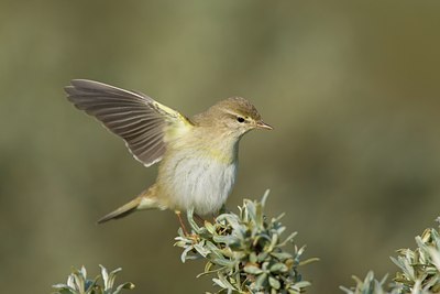 BUITEN BEELD Foto: 31105