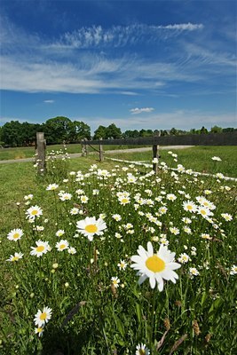 BUITEN BEELD Foto: 31169