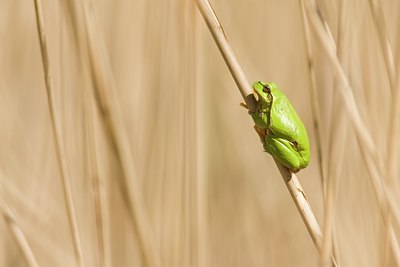 BUITEN BEELD Foto: 31199