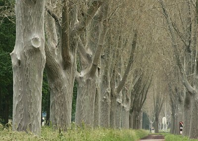 BUITEN BEELD Foto: 31335