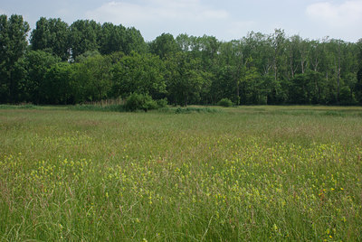 BUITEN BEELD Foto: 31414