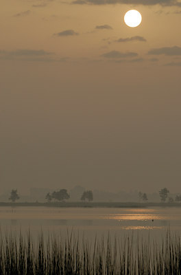 BUITEN BEELD Foto: 31548