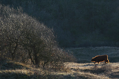 BUITEN BEELD Foto: 31571