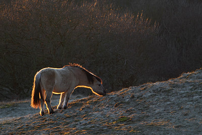 BUITEN BEELD Foto: 31574