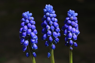 BUITEN BEELD Foto: 31612