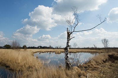 BUITEN BEELD Foto: 31657