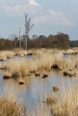 BUITEN BEELD Foto: 31667