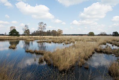 BUITEN BEELD Foto: 31668