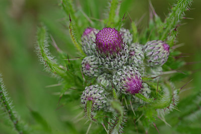 BUITEN BEELD Foto: 31799