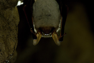 BUITEN BEELD Foto: 31861