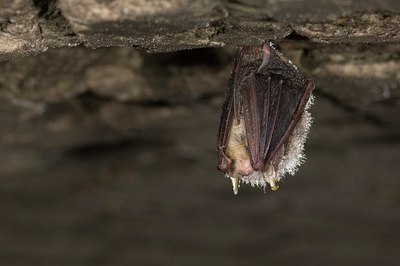BUITEN BEELD Foto: 31884