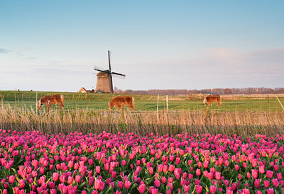 BUITEN BEELD Foto: 31934
