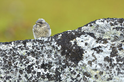 BUITEN BEELD Foto: 319059