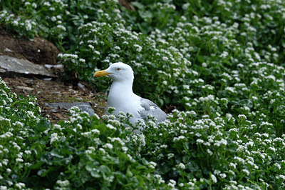 BUITEN BEELD Foto: 319133