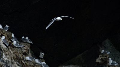 BUITEN BEELD Foto: 319150
