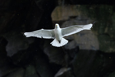 BUITEN BEELD Foto: 319152