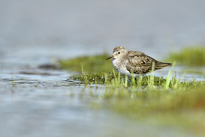 BUITEN BEELD Foto: 319172