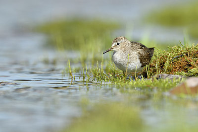 BUITEN BEELD Foto: 319177
