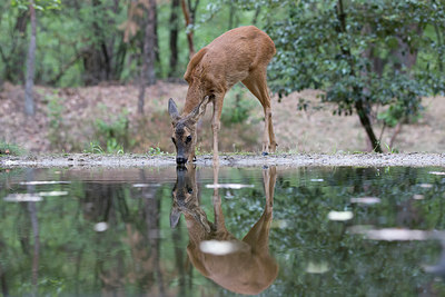 BUITEN BEELD Foto: 319250