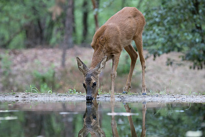 BUITEN BEELD Foto: 319251