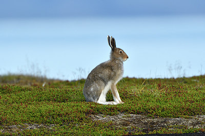 BUITEN BEELD Foto: 319261