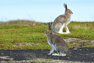 BUITEN BEELD Foto: 319262