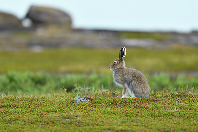 BUITEN BEELD Foto: 319265