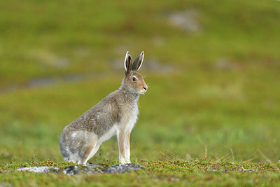 BUITEN BEELD Foto: 319266