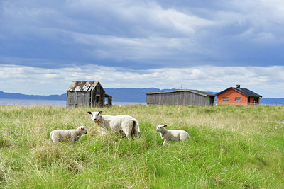 BUITEN BEELD Foto: 319268