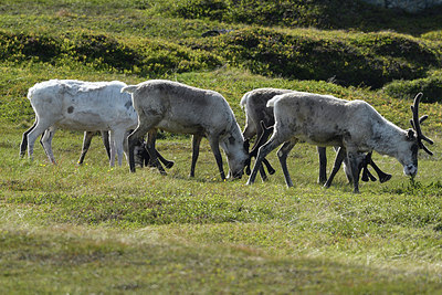 BUITEN BEELD Foto: 319275