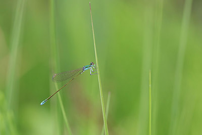 BUITEN BEELD Foto: 319299